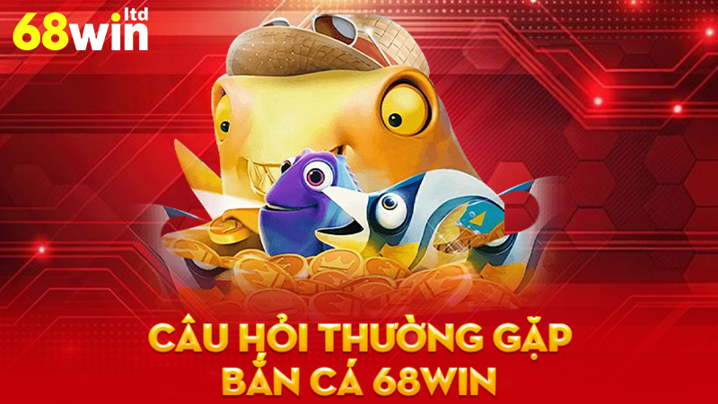 Câu hỏi thường gặp (FAQs)