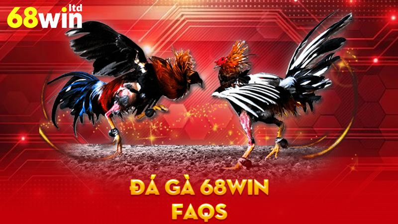 FAQs về Đá Gà 68Win