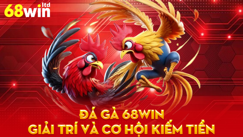 Đá Gà 68Win - Giải Trí Và Cơ Hội Kiếm Tiền Thú Vị