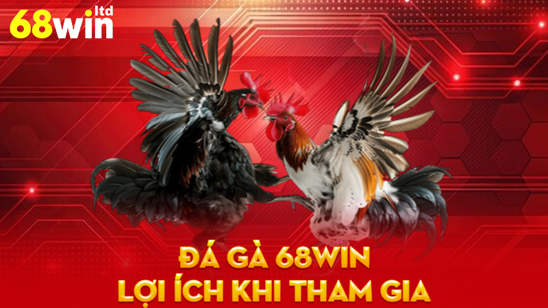 Lợi Ích Khi Tham Gia Đá Gà 68Win